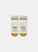 Off white SOCKS MAMIMI / 25E4BGK1SOQ001