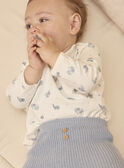 Greyish blue SET LODOIS / 24H0CGN2ENS205