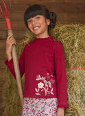 Red TEE SHIRT LS LALUNETTE / 24H2PFR2TMLF506