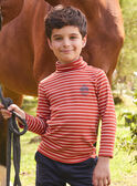 Orange TURTLE NECK LARAYAGE / 24H3PGR1SPL400
