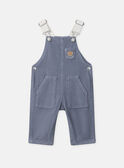 Greyish blue DUNGAREES NAODRAN / 25H1BGW1SAL205