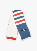 Blue and red striped scarf with animal heads DIORAN / 22H4BGN1ECHI815