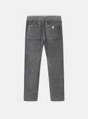 Grey PANTS LADURAGE / 24H3PGQ1PANJ909