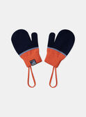 Navy GLOVES & MITTENS LISFLAGE / 24H4PG71GAN070