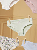 Ivory BRIEFS / PANTY RIB LUIZETTE / 24H5PF51SLR005