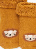 3 beige animated animal socks GANASH / 23H4BGI1LC3007