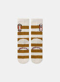 Vanilla SOCKS MASOCAGE / 25E4PG71SOQ114