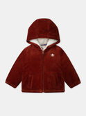 Brown JACKET LIPRINCE / 24H1BG71VESI801