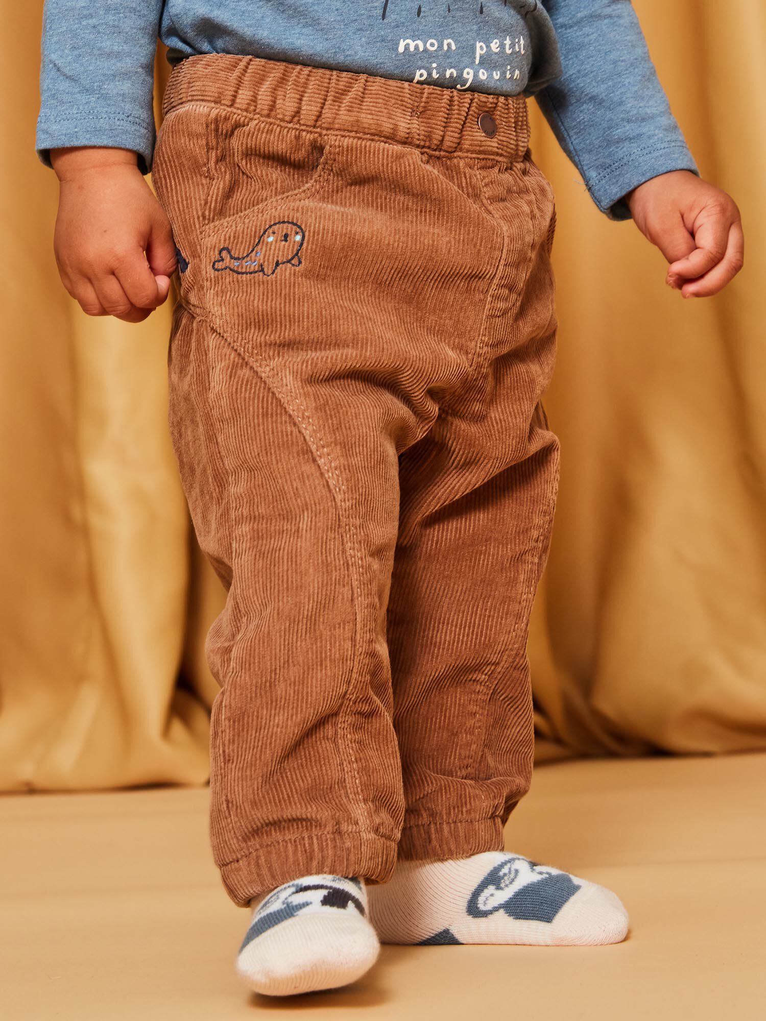Toddler Boys' Pull-on Taper Fit Corduroy Pant - Cat & Jack™ Brown : Target