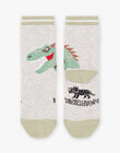 Baby boy's grey dinosaur socks BASOCAGE / 21H4PG21SOQ943