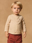 Vanilla SHIRT MAAMIR / 25E1BG71CHM114