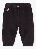 Slate-gray corduroy pants GASACHA / 23H1BGR1PANJ900