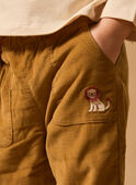Brown PANTS MAAXEL / 25E1BG71PAN812