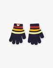Navy Blue Striped knit gloves FRAGANAGE / 23E4PG51GAN713