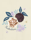 Short sleeve vanilla t-shirt with flower print FLARAGETTE / 23E2PFO2TMC114