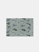 Light green SNOOD MISNODAGE / 25E4PG91SNOG600