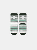 Ivory SOCKS SETx3 NITRIAGE / 25H4PGS1LC3005