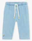 Sky blue light denim pants with bird embroidery FAANDY / 23E1BG82PANP272