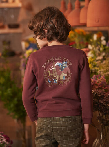 Red SWEAT SHIRT LUPELAGE / 24H3PGM1SWE511