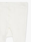 Off white TIGHTS GIBAZETTE / 23H4PF91COL001