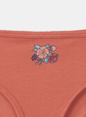 Pale rose BRIEFS / PANTY RIB MLIVETTE / 25E5PF41SLR301
