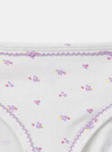 Turquoise BRIEFS / PANTY RIB MLITRETTE / 25E5PF42SLR202