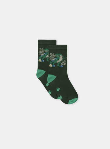 Green SOCKS NICHOSAGE / 25H4PGS1SOQG633