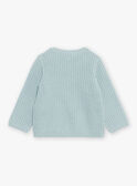 Blue-gray knit sweater GAISMAEL / 23H1BGD1PUL205