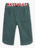 Clay green corduroy pants GAORIANE / 23H1BFQ1PANG600