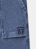  JEANS MECOULAGE / 25E3PG81JEAP270