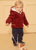 Brown JACKET LIPRINCE / 24H1BG71VESI801