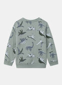 Light green SWEAT SHIRT MISWETAGE / 25E3PG91SWEG600