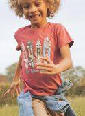 Red t-shirt with surf pattern FISURFAGE / 23E3PGD2TMC303