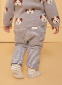 Dark grey PANTS LAOMAR / 24H1BGQ1PAN941