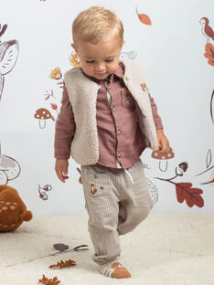 Baby Boy's Brown and Beige Checked Pants BALAUREL / 21H1BGJ1PAN811