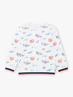 White shark print sweatshirt colorful boy boy child ZISOULAGE / 21E3PGT1SWE000