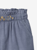 Greyish blue PANTS NANOLA / 25H1BFW1PAN205
