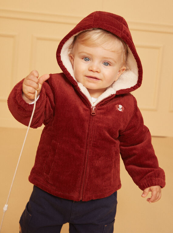 Brown JACKET LIPRINCE / 24H1BG71VESI801