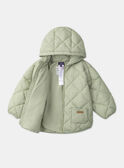 Blue green DOWN JACKET MIMORGANE / 25E1BF31D3E614