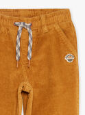 Loose-fitting beige velvet pants. GLAVELTAGE / 23H3PGI1PANI819