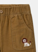 Brown PANTS MAAXEL / 25E1BG71PAN812