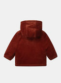 Brown JACKET LIPRINCE / 24H1BG71VESI801