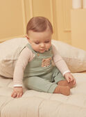 Kaki SET LOIC / 24H0CG12ENS604