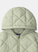 Blue green DOWN JACKET MIMORGANE / 25E1BF31D3E614