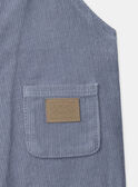 Greyish blue DUNGAREES NAODRAN / 25H1BGW1SAL205
