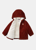 Brown JACKET LIPRINCE / 24H1BG71VESI801