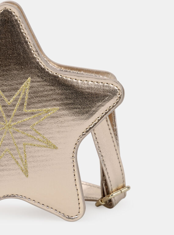 Gold BAG AND POUCH NREBAGETTE / 25H4PFY2BES954