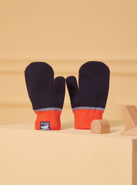 Navy GLOVES & MITTENS LISFLAGE / 24H4PG71GAN070