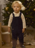 Blue DUNGAREES LAVIRGIL / 24H1BGT1SALC243