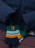Navy DOWN JACKET LIOTIMAGE / 24H3PG81D3E070